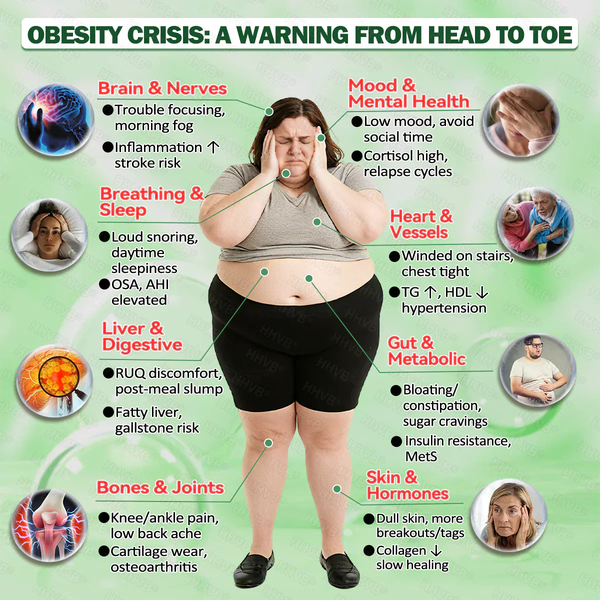 Offizieller Store |  Moringa · Berberin × NAD+ 10-in-1 Fortgeschrittenes Nano-Mikronadel-Patch (✅Nur einmal täglich, sichtbare Veränderungen in 7 Tagen)